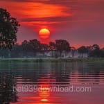 Avatar of Owais Siddiqui